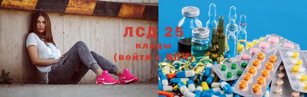 ешки Алексин