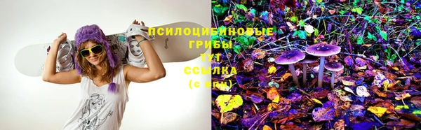 ешки Алексин