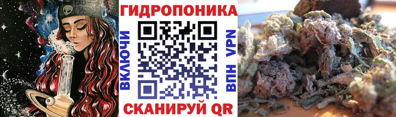 Бошки Шишки Ganja  цена наркотик  Копейск 